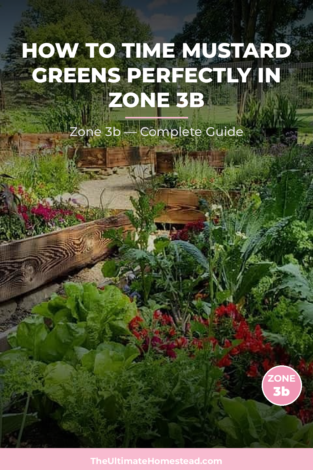 When to Plant Mustard Greens in Zone 3b