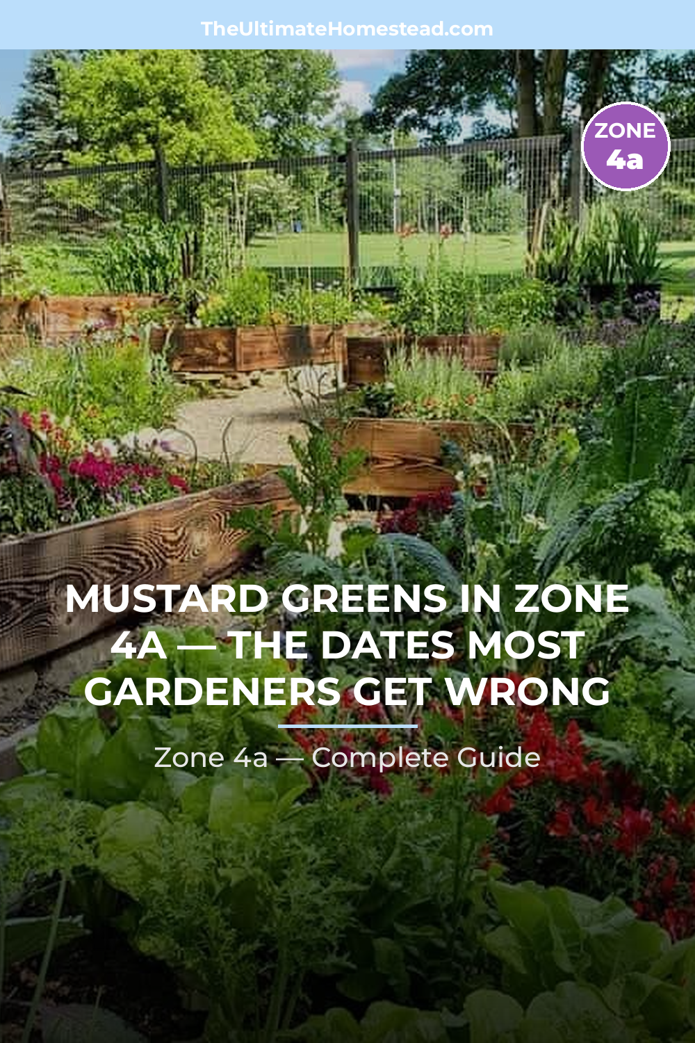 When to Plant Mustard Greens in Zone 4a