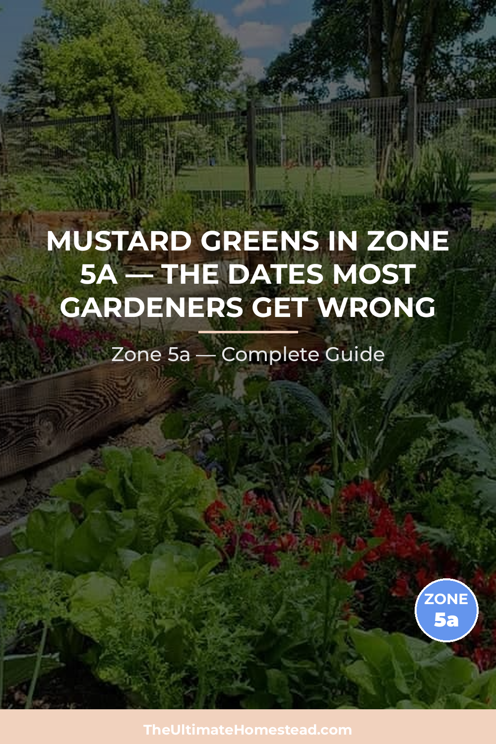 When to Plant Mustard Greens in Zone 5a