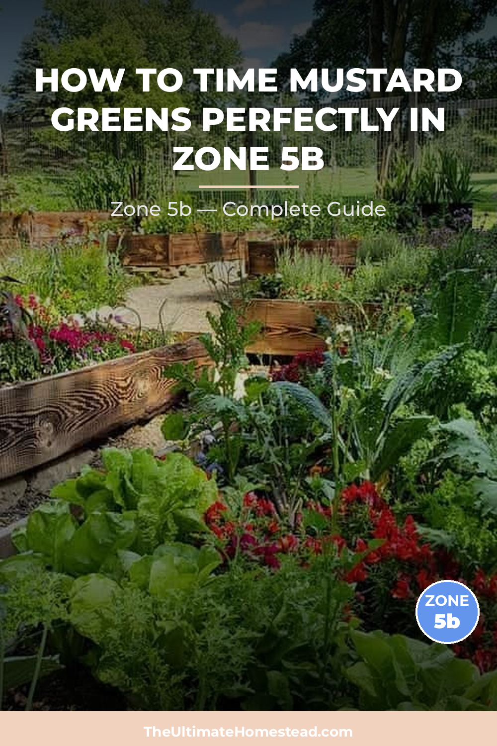 When to Plant Mustard Greens in Zone 5b
