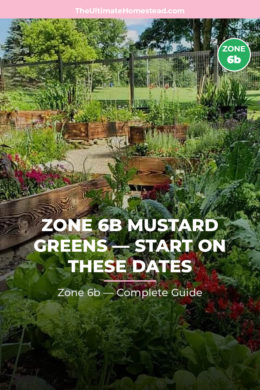 When to Plant Mustard Greens in Zone 6b
