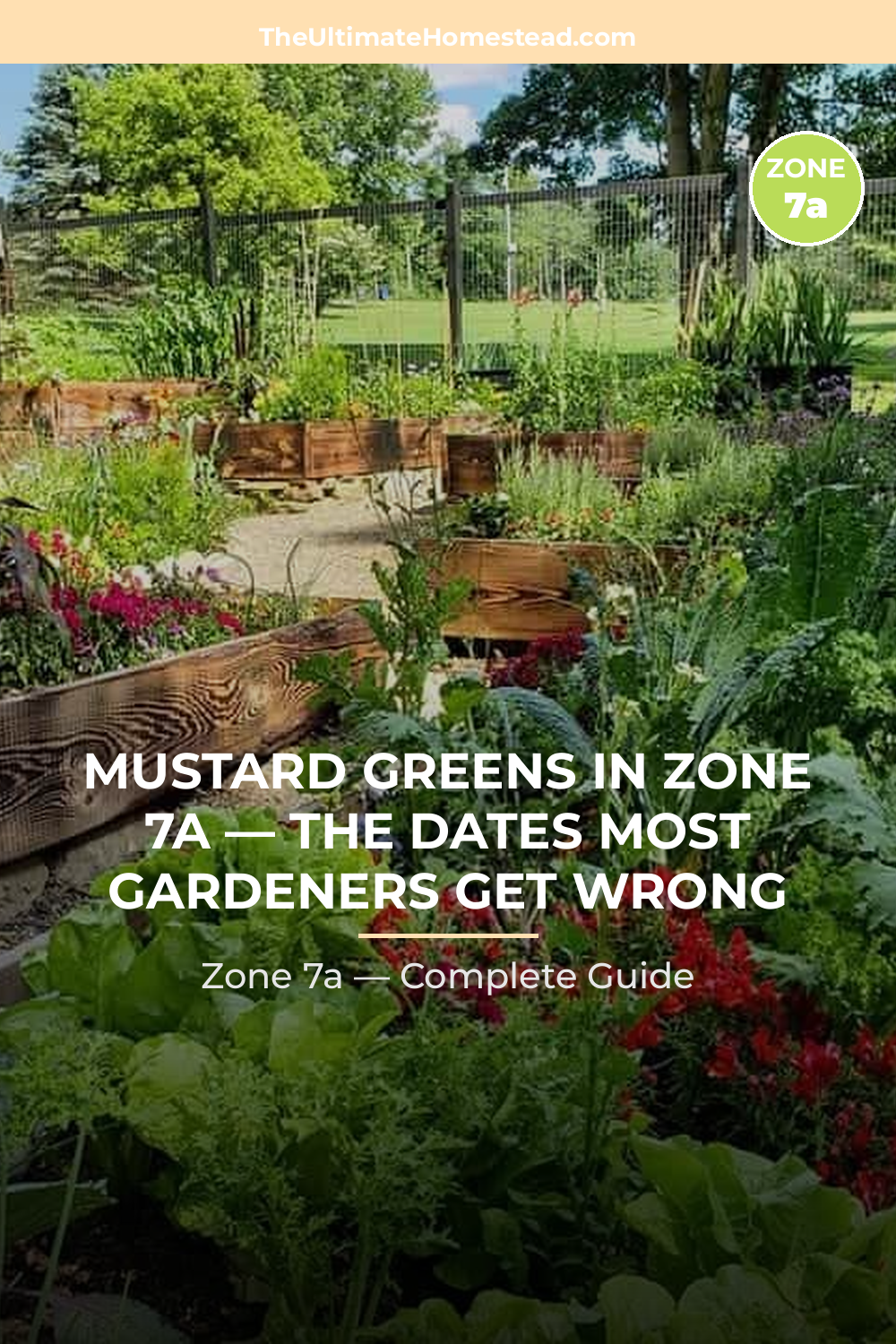 When to Plant Mustard Greens in Zone 7a
