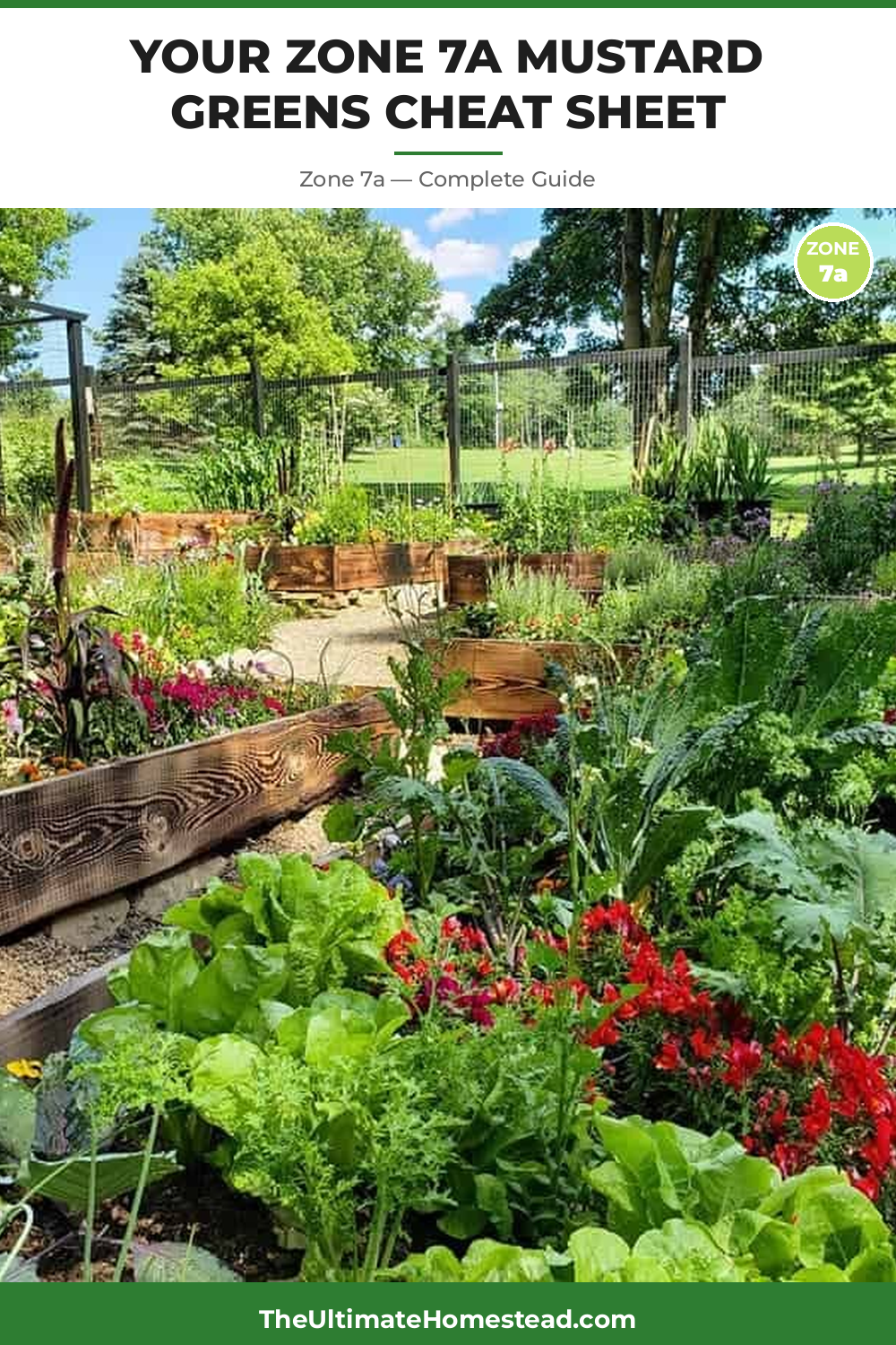 When to Plant Mustard Greens in Zone 7a
