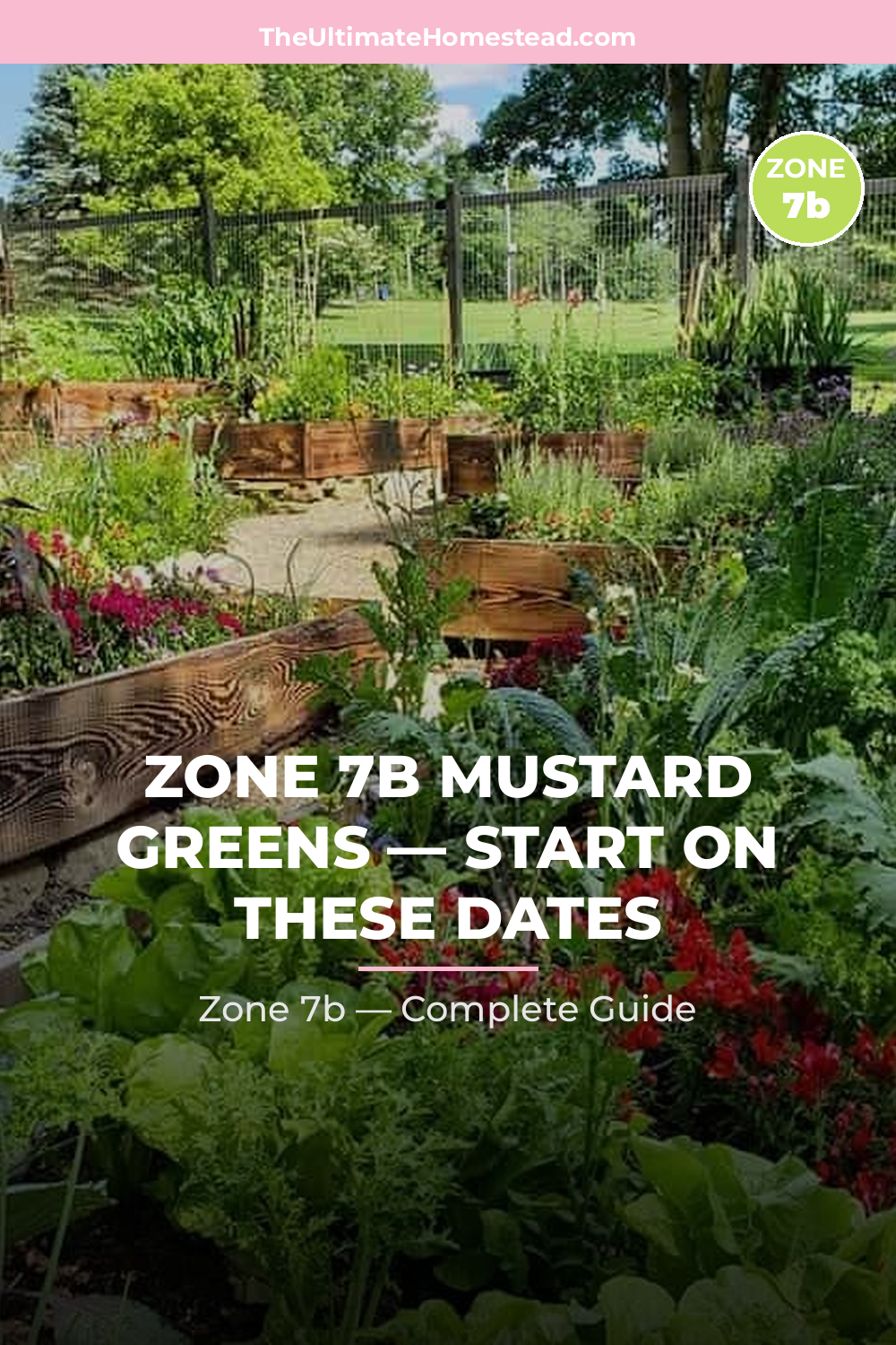 When to Plant Mustard Greens in Zone 7b