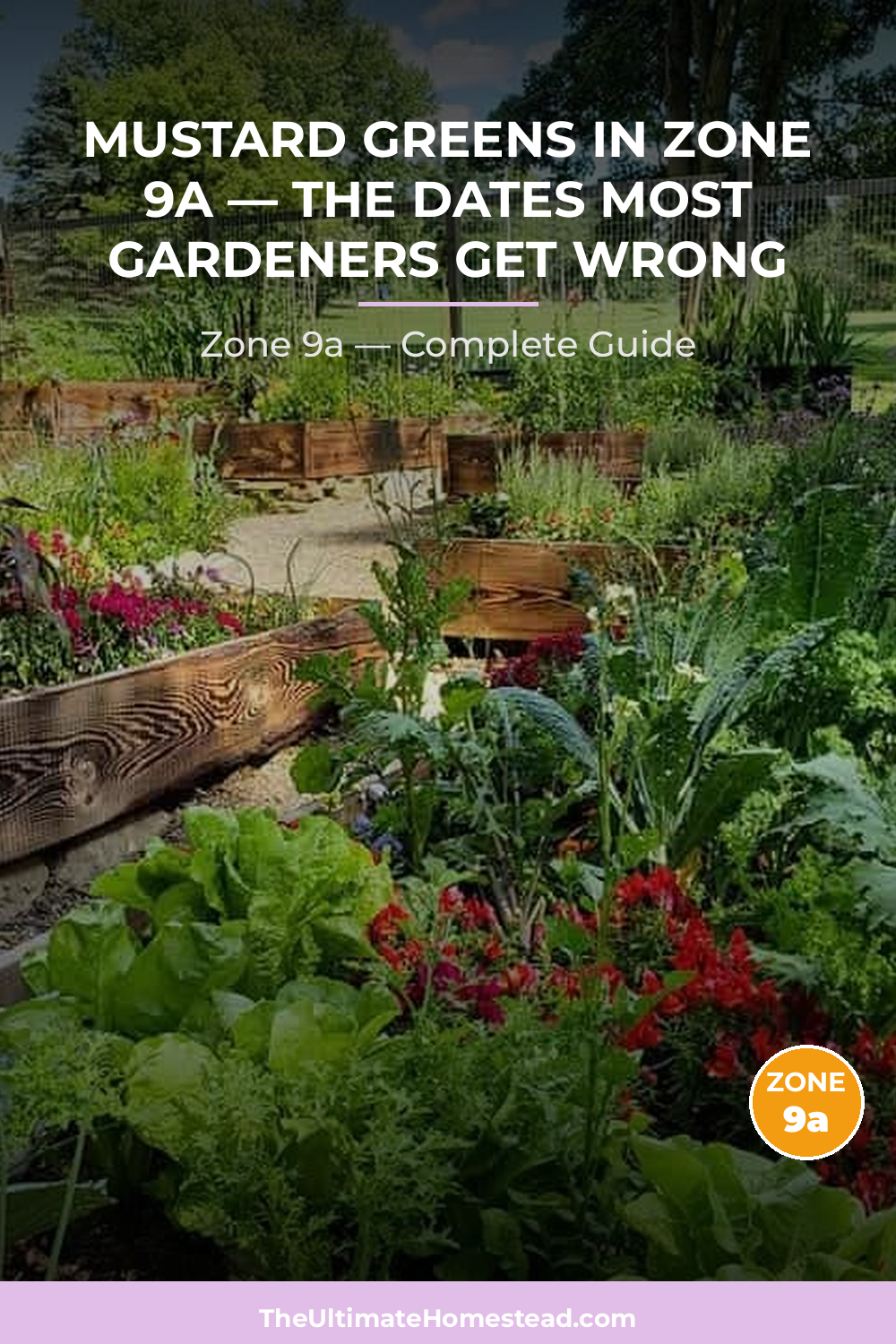When to Plant Mustard Greens in Zone 9a