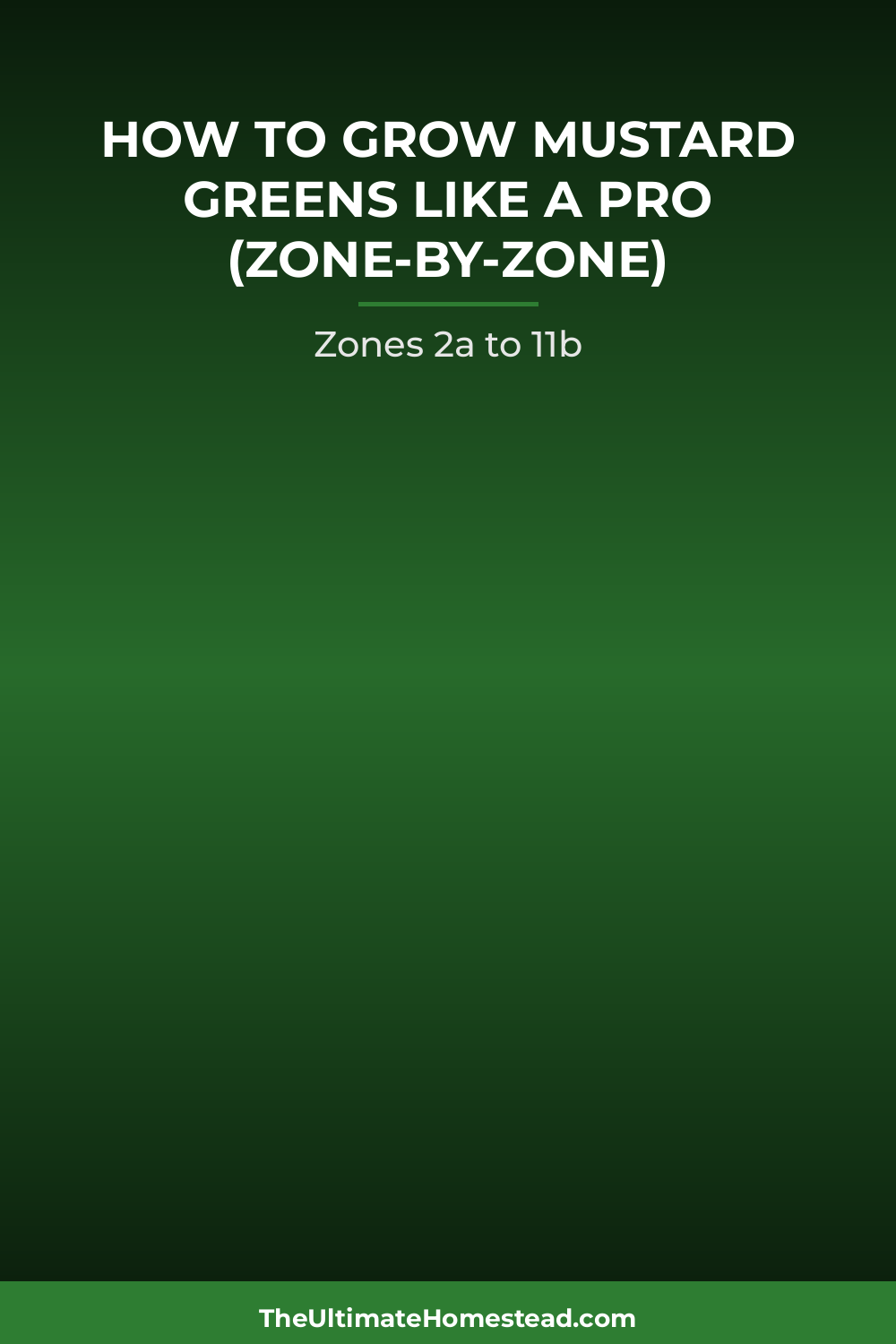 Mustard Greens Planting Guide