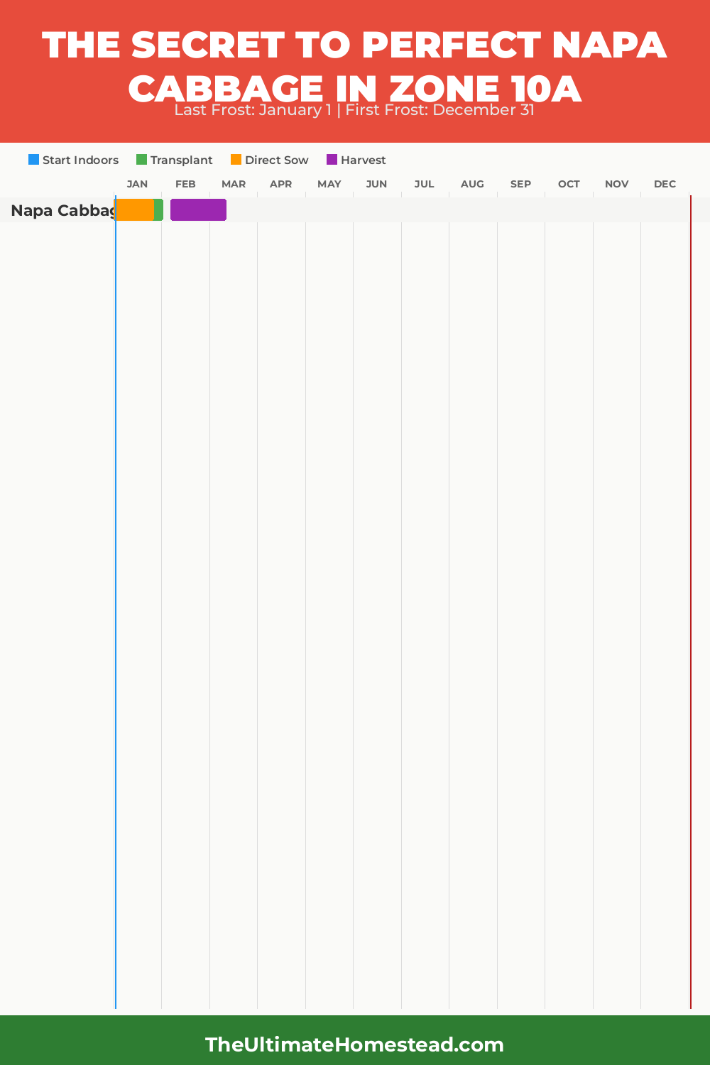 When to Plant Napa Cabbage in Zone 10a