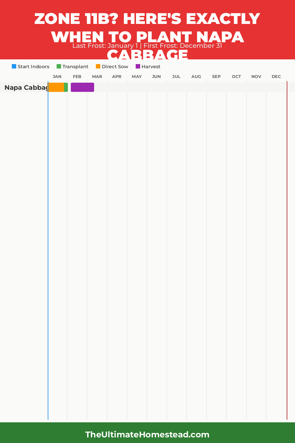 When to Plant Napa Cabbage in Zone 11b