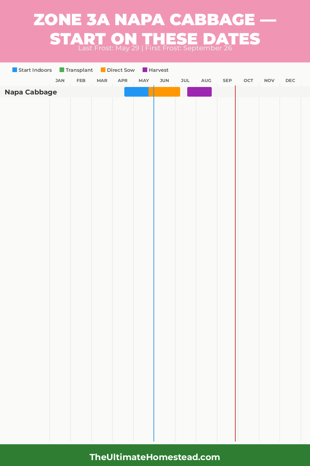 When to Plant Napa Cabbage in Zone 3a