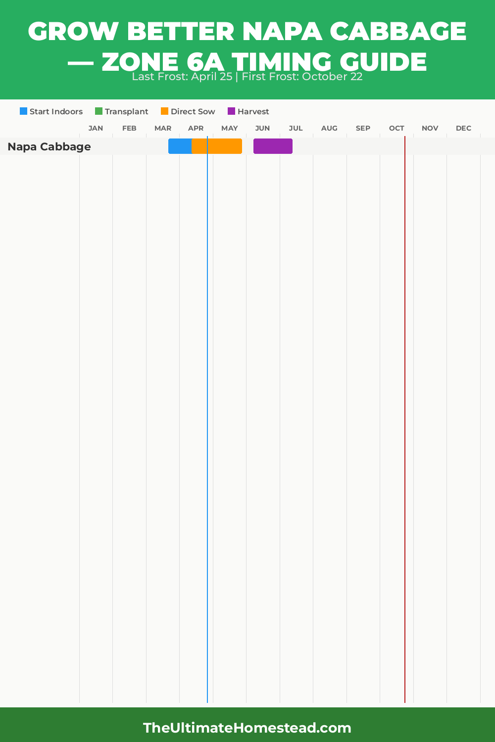 When to Plant Napa Cabbage in Zone 6a