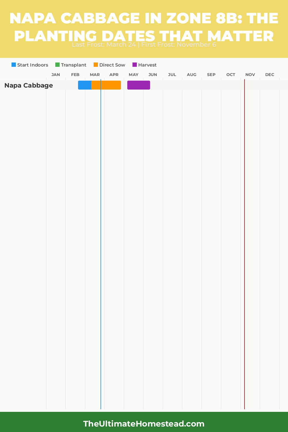When to Plant Napa Cabbage in Zone 8b