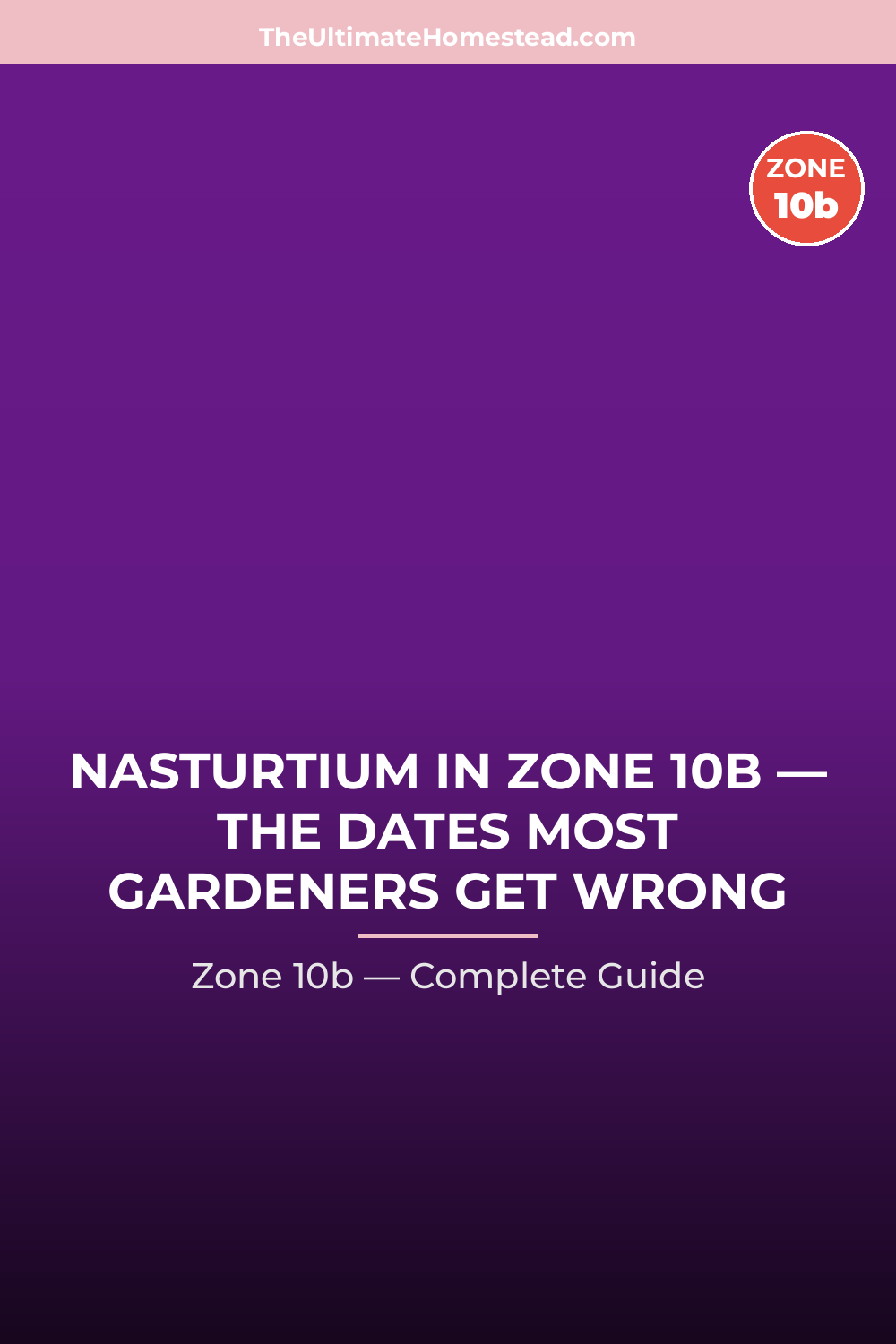 When to Plant Nasturtium in Zone 10b