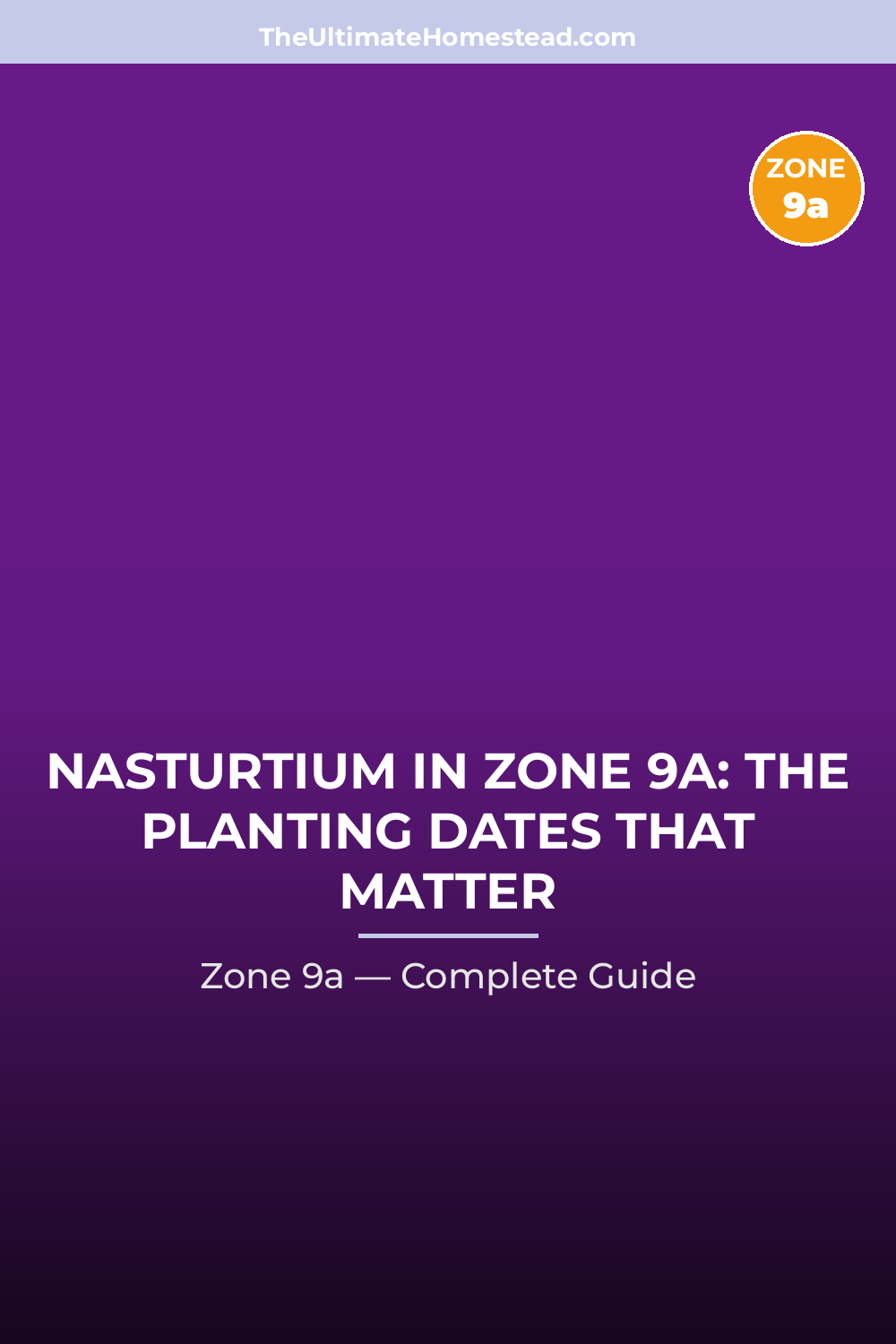 When to Plant Nasturtium in Zone 9a