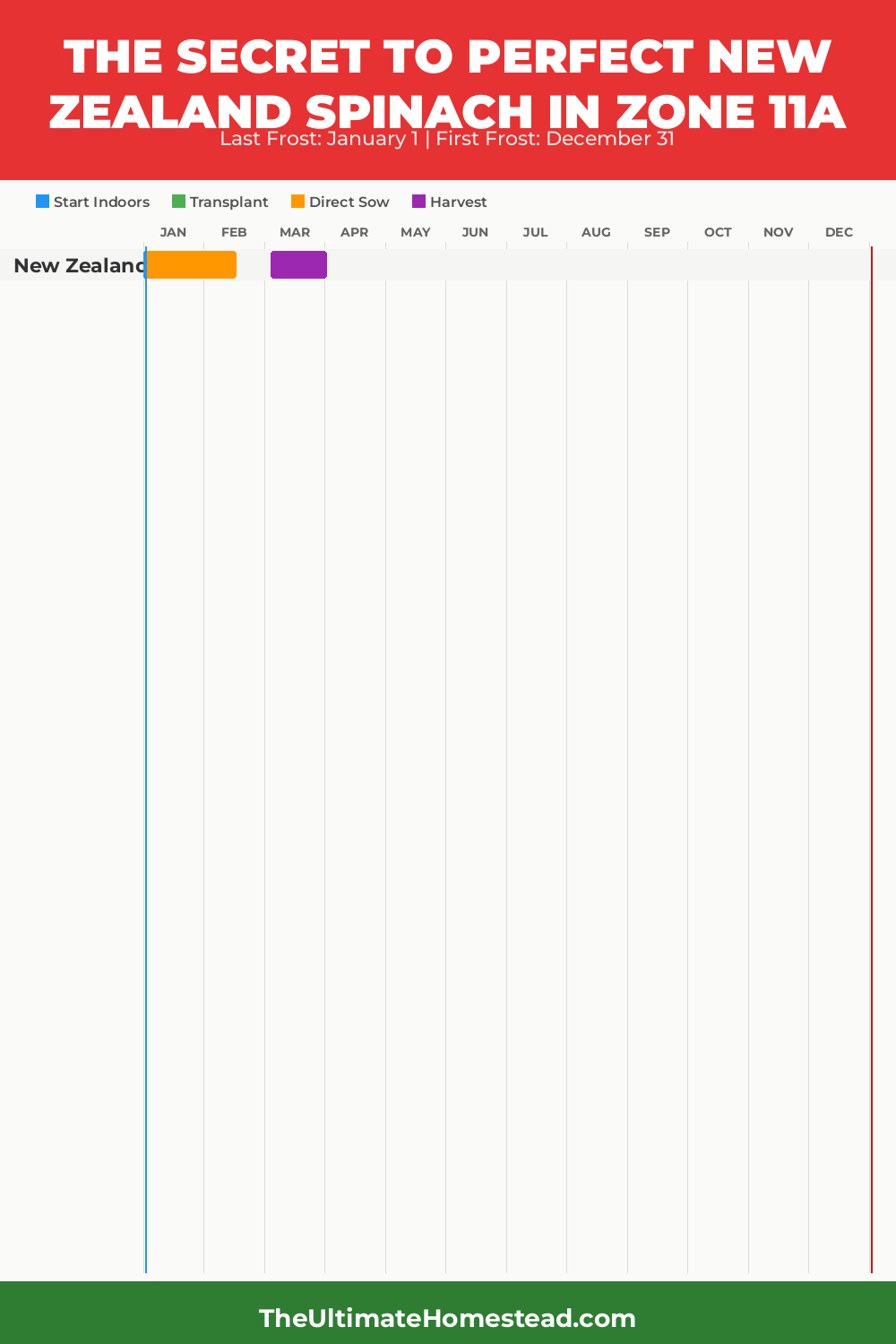 When to Plant New Zealand Spinach in Zone 11a