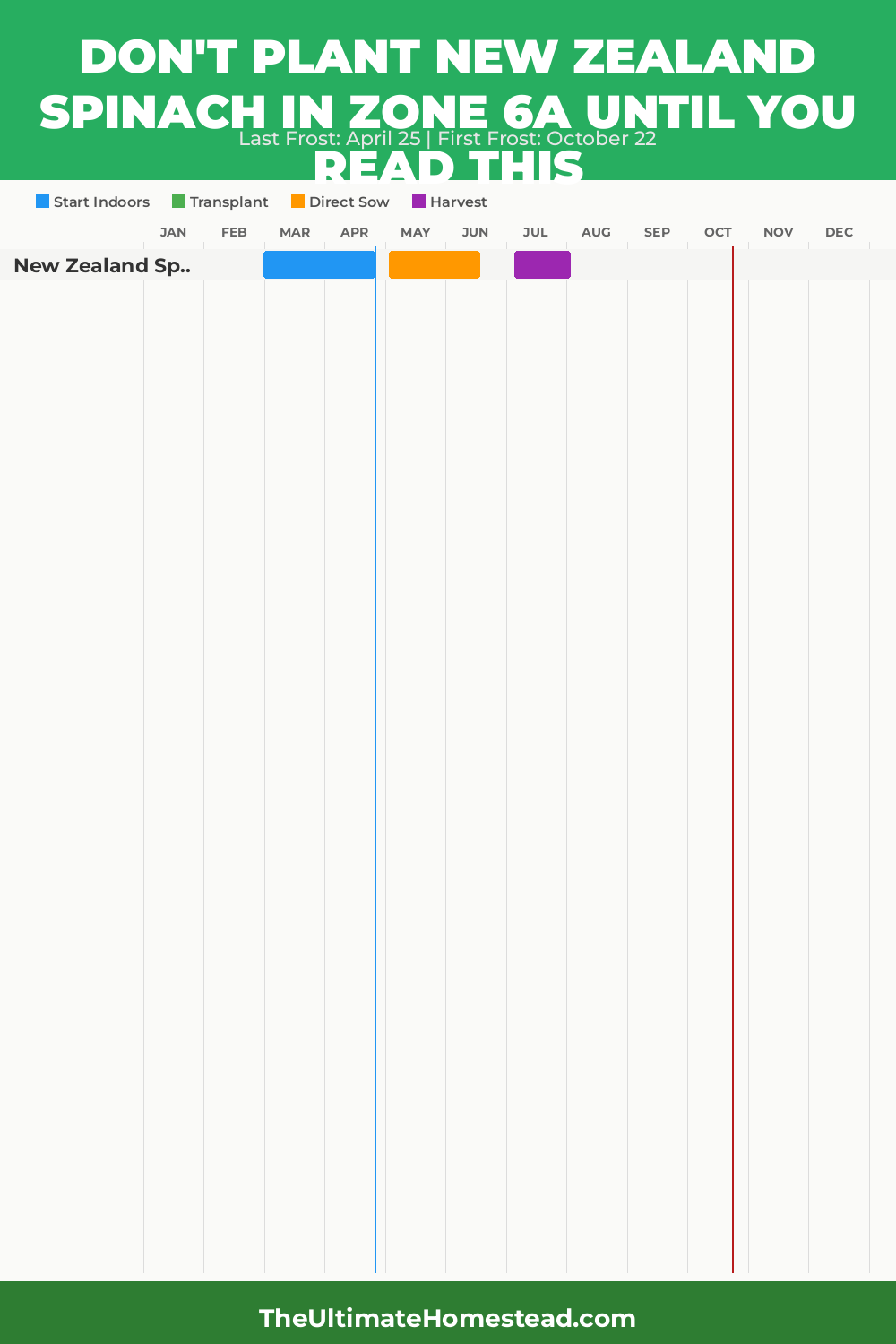 When to Plant New Zealand Spinach in Zone 6a