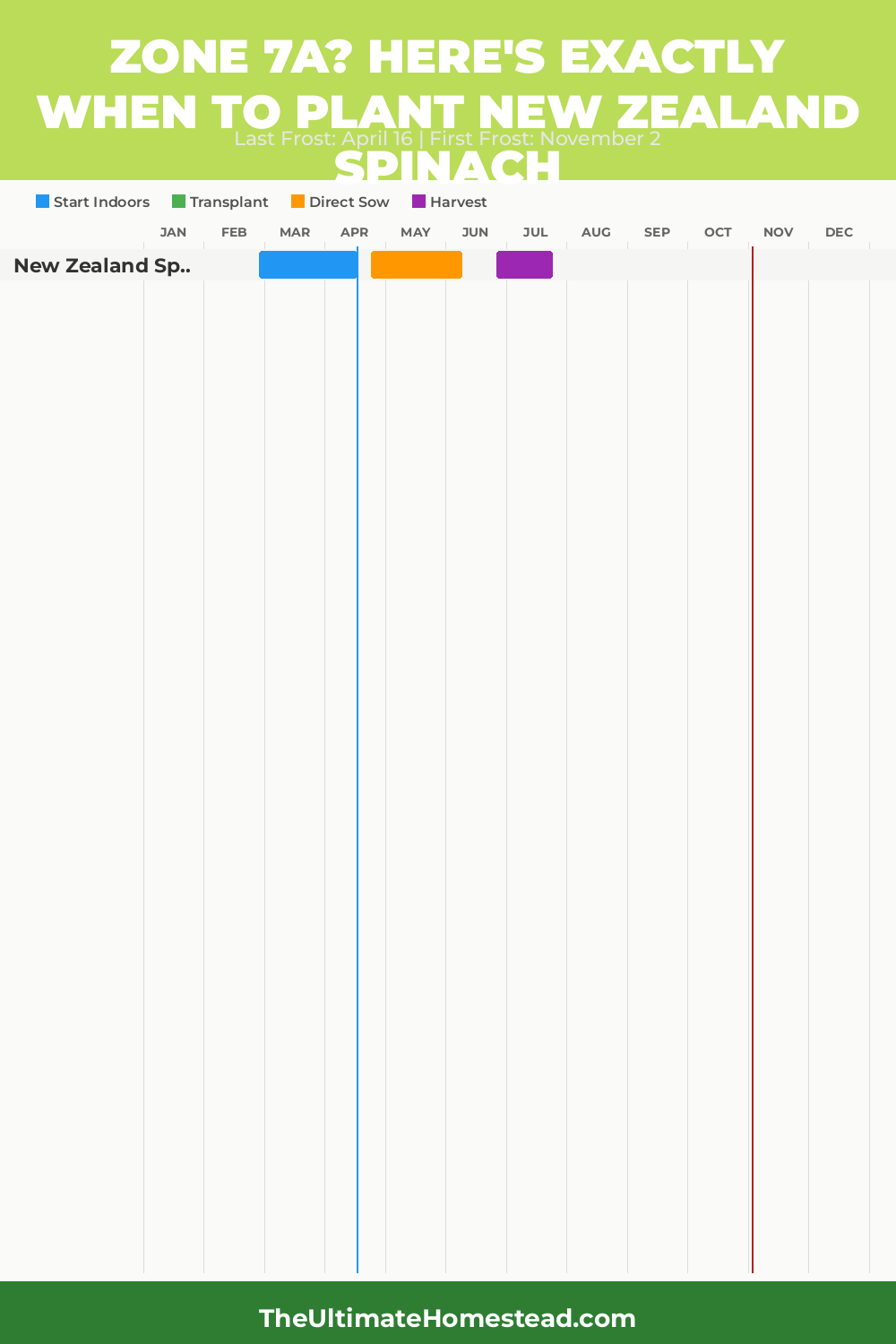 When to Plant New Zealand Spinach in Zone 7a