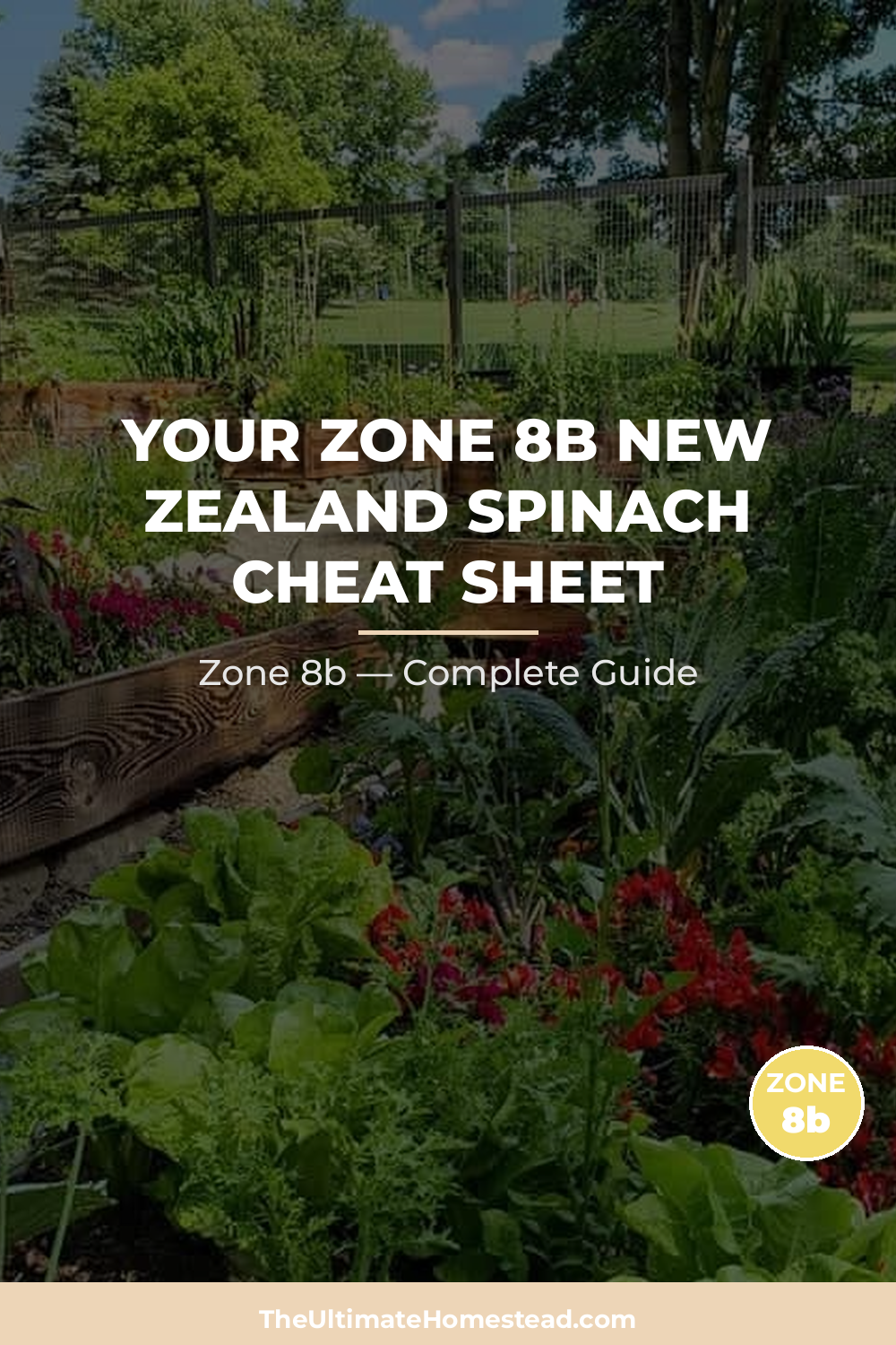 When to Plant New Zealand Spinach in Zone 8b