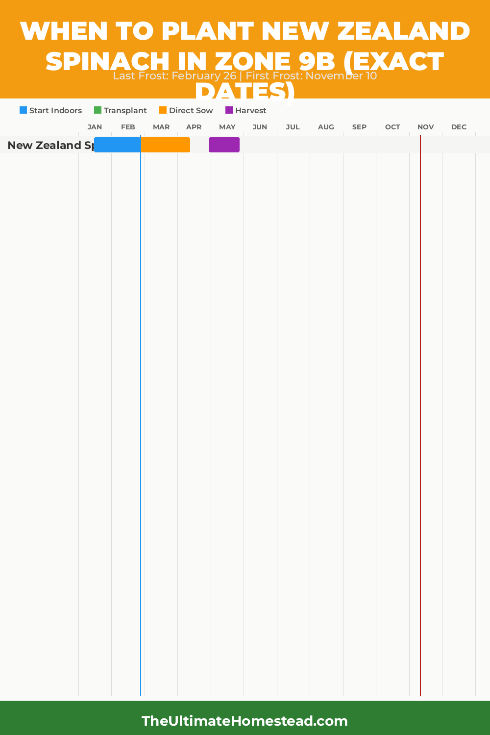When to Plant New Zealand Spinach in Zone 9b