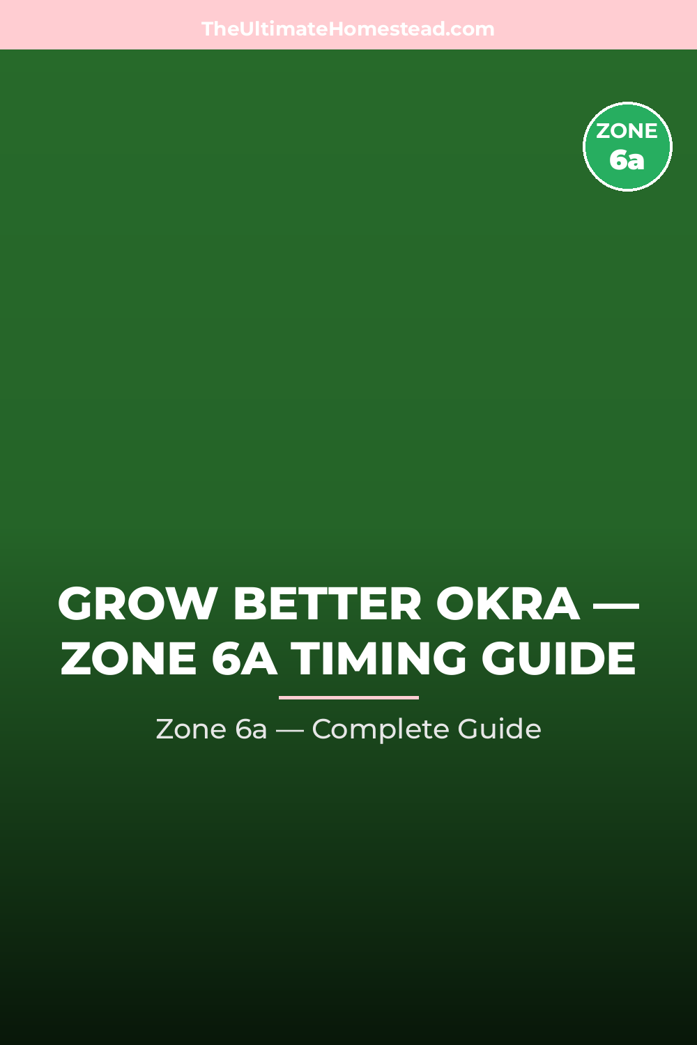 When to Plant Okra in Zone 6a