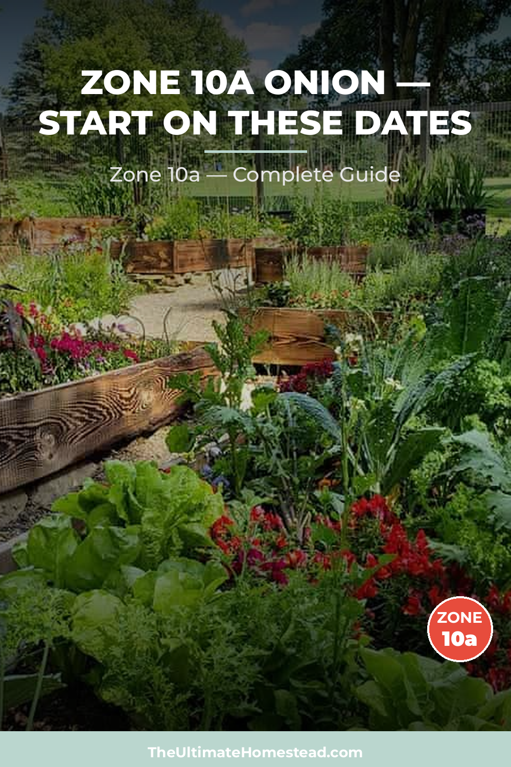 When to Plant Onion in Zone 10a