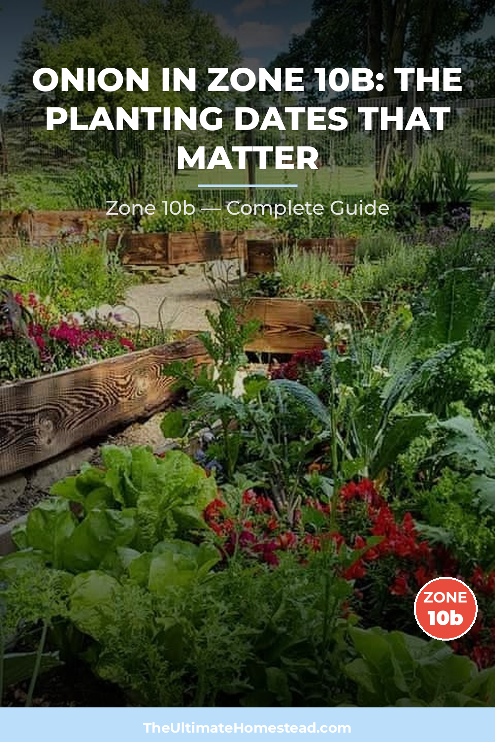 When to Plant Onion in Zone 10b