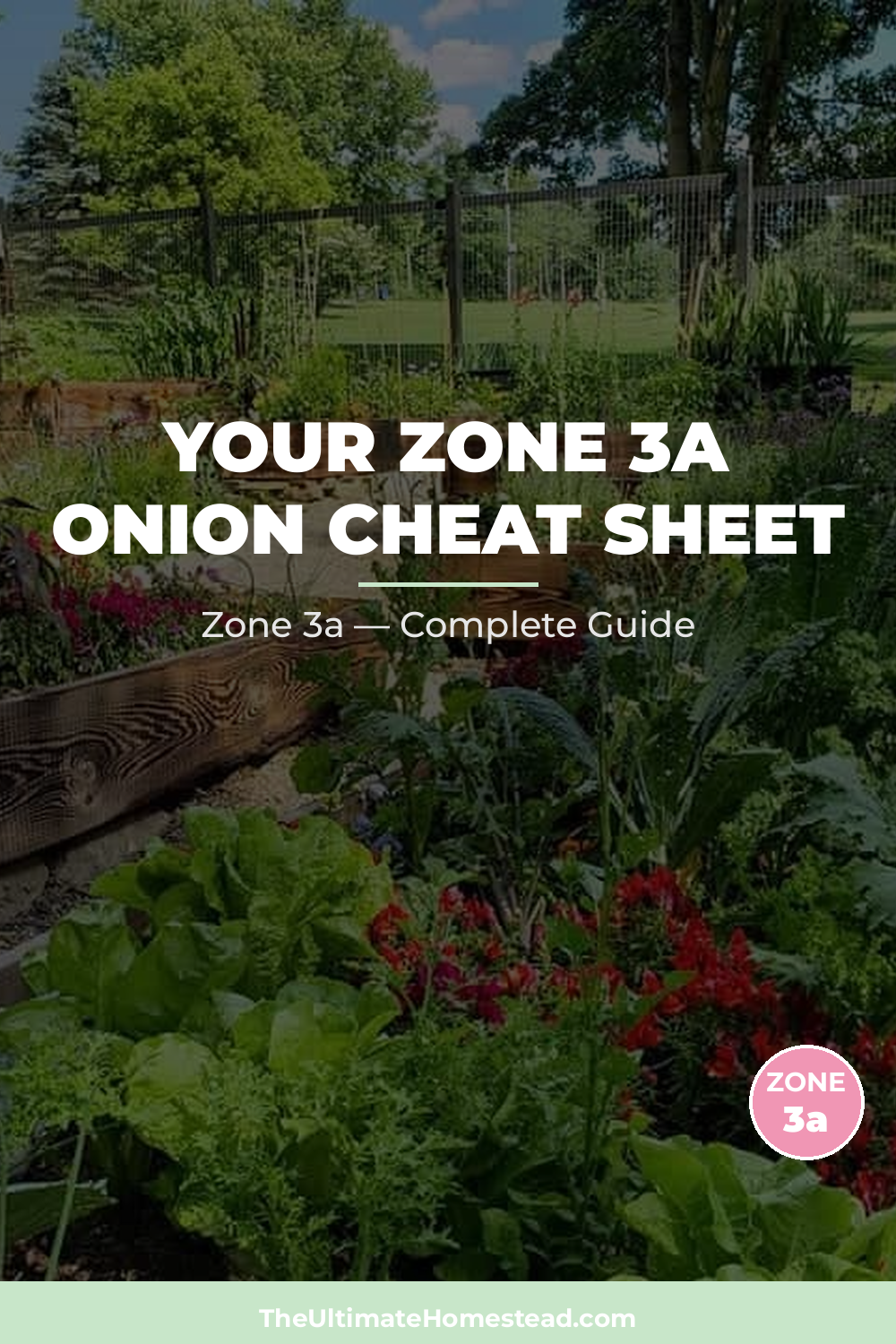 When to Plant Onion in Zone 3a