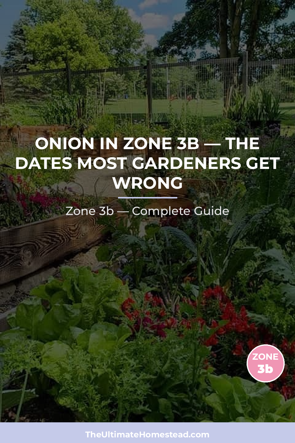 When to Plant Onion in Zone 3b