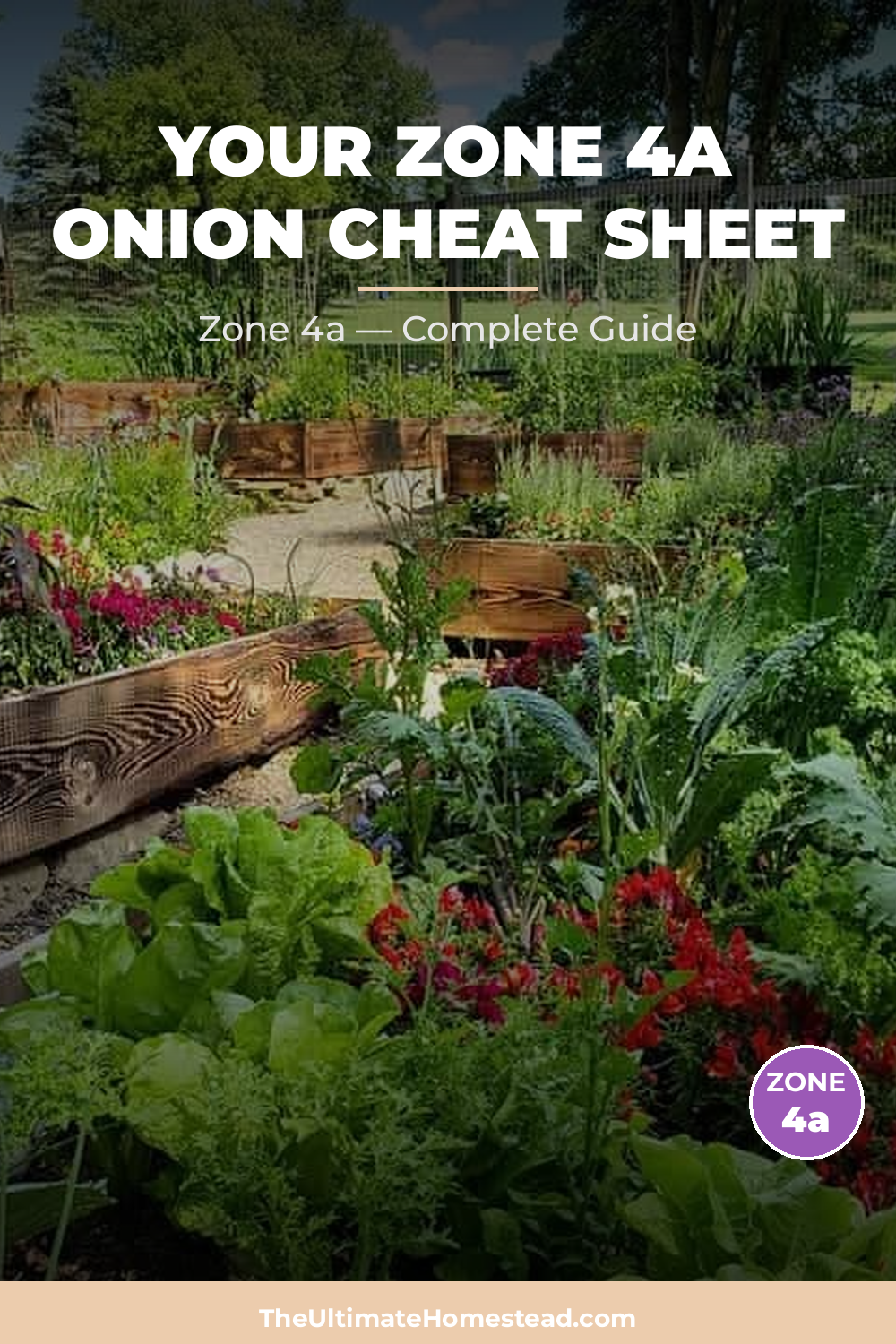 When to Plant Onion in Zone 4a