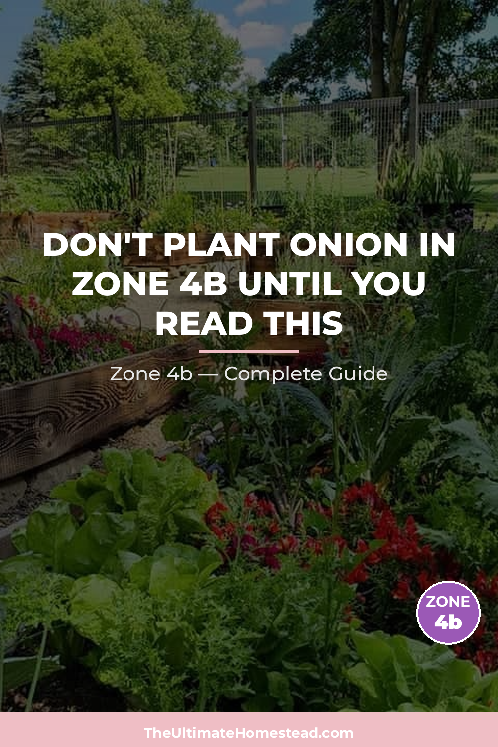 When to Plant Onion in Zone 4b