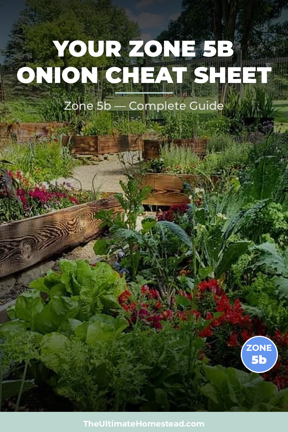 When to Plant Onion in Zone 5b