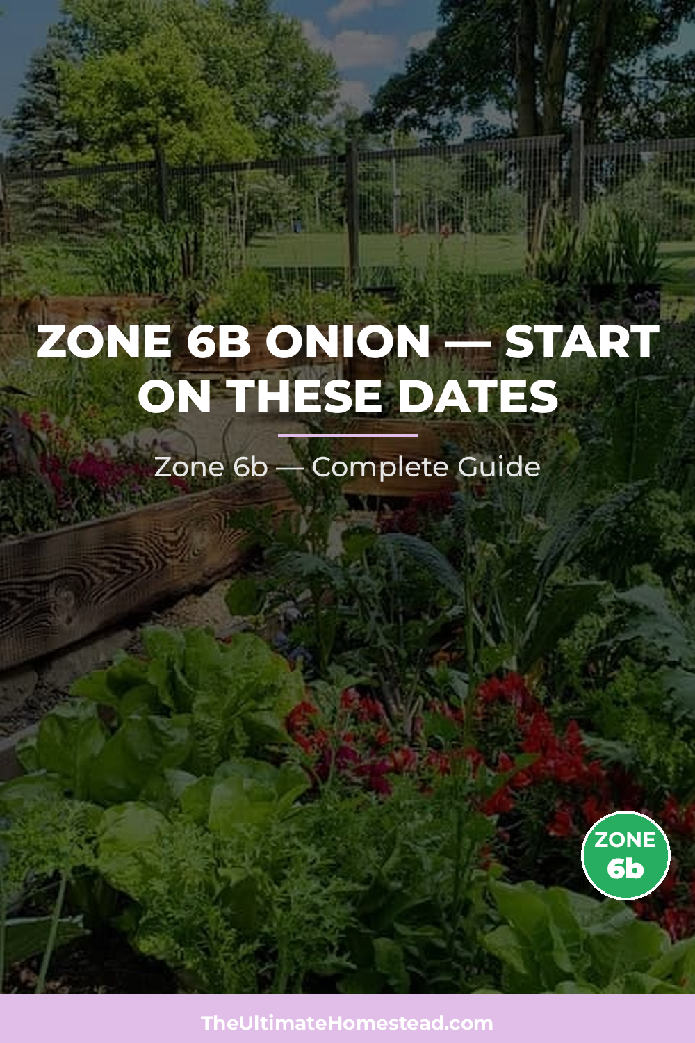 When to Plant Onion in Zone 6b