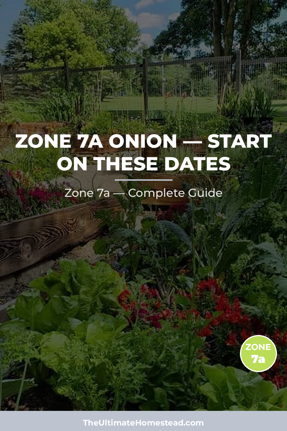 When to Plant Onion in Zone 7a