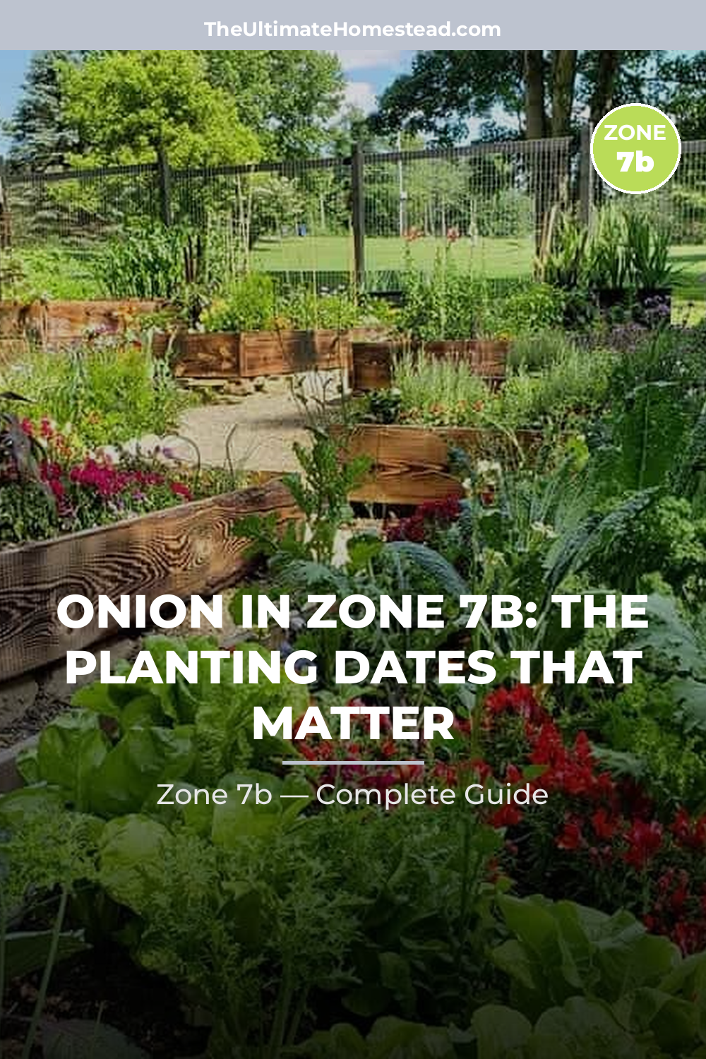 When to Plant Onion in Zone 7b