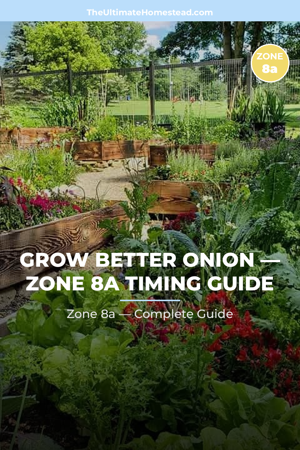 When to Plant Onion in Zone 8a