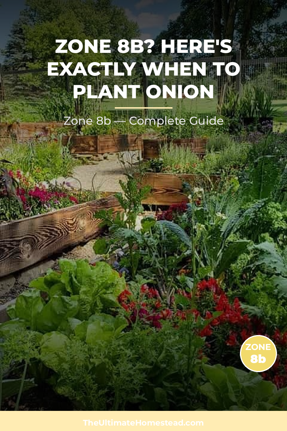 When to Plant Onion in Zone 8b