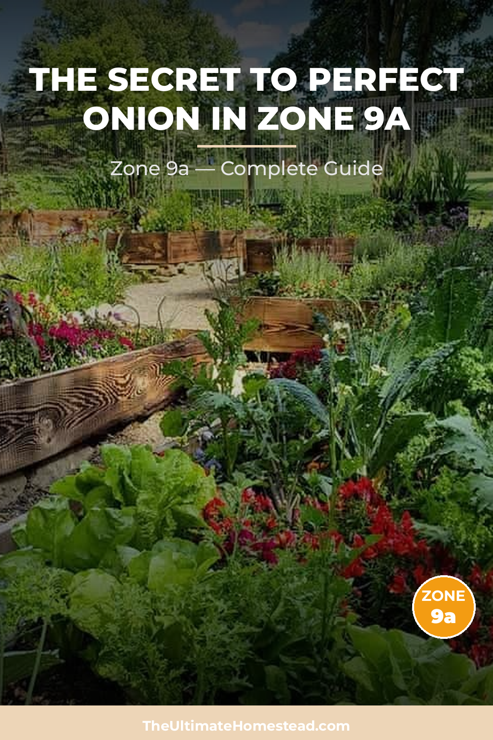 When to Plant Onion in Zone 9a