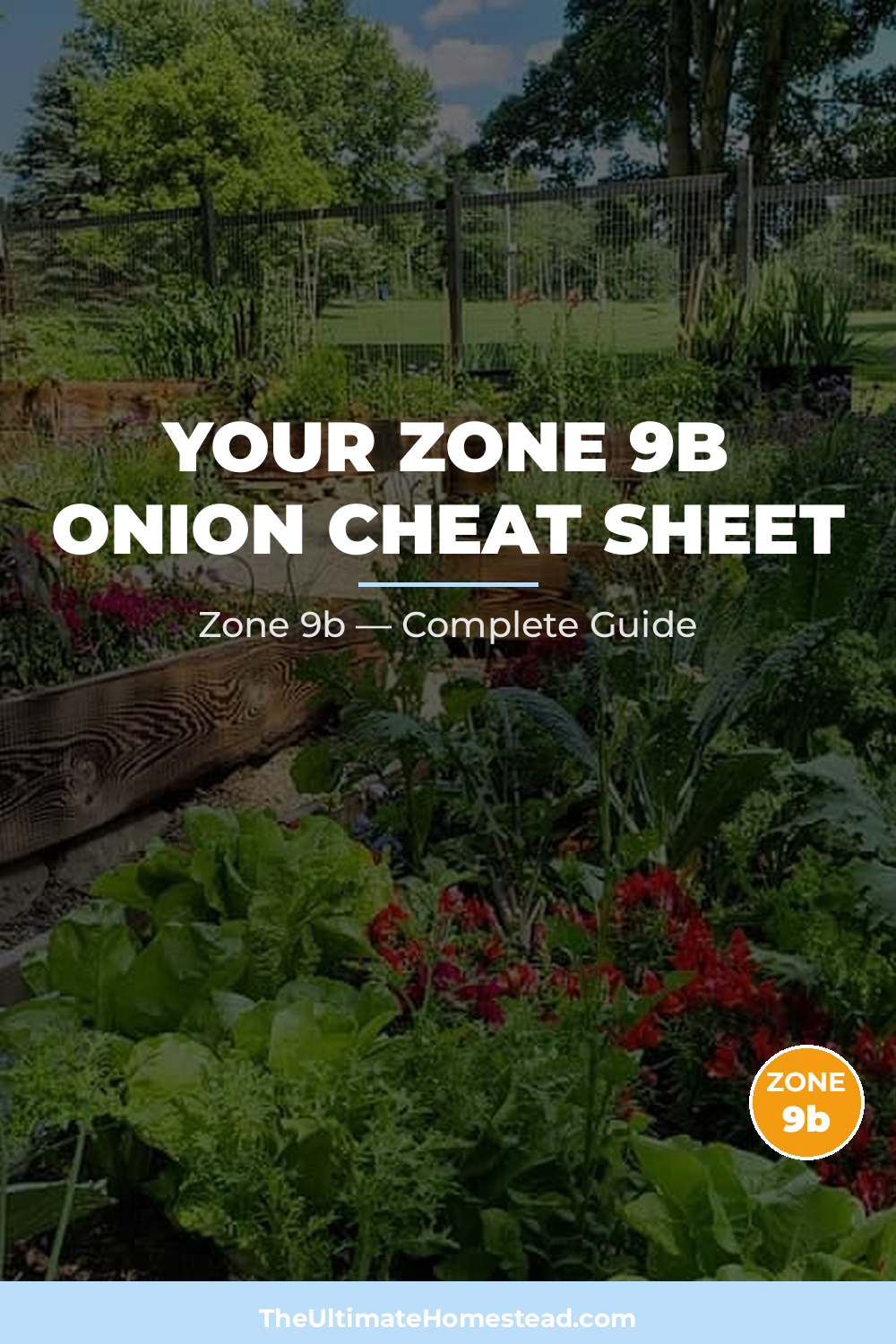 When to Plant Onion in Zone 9b