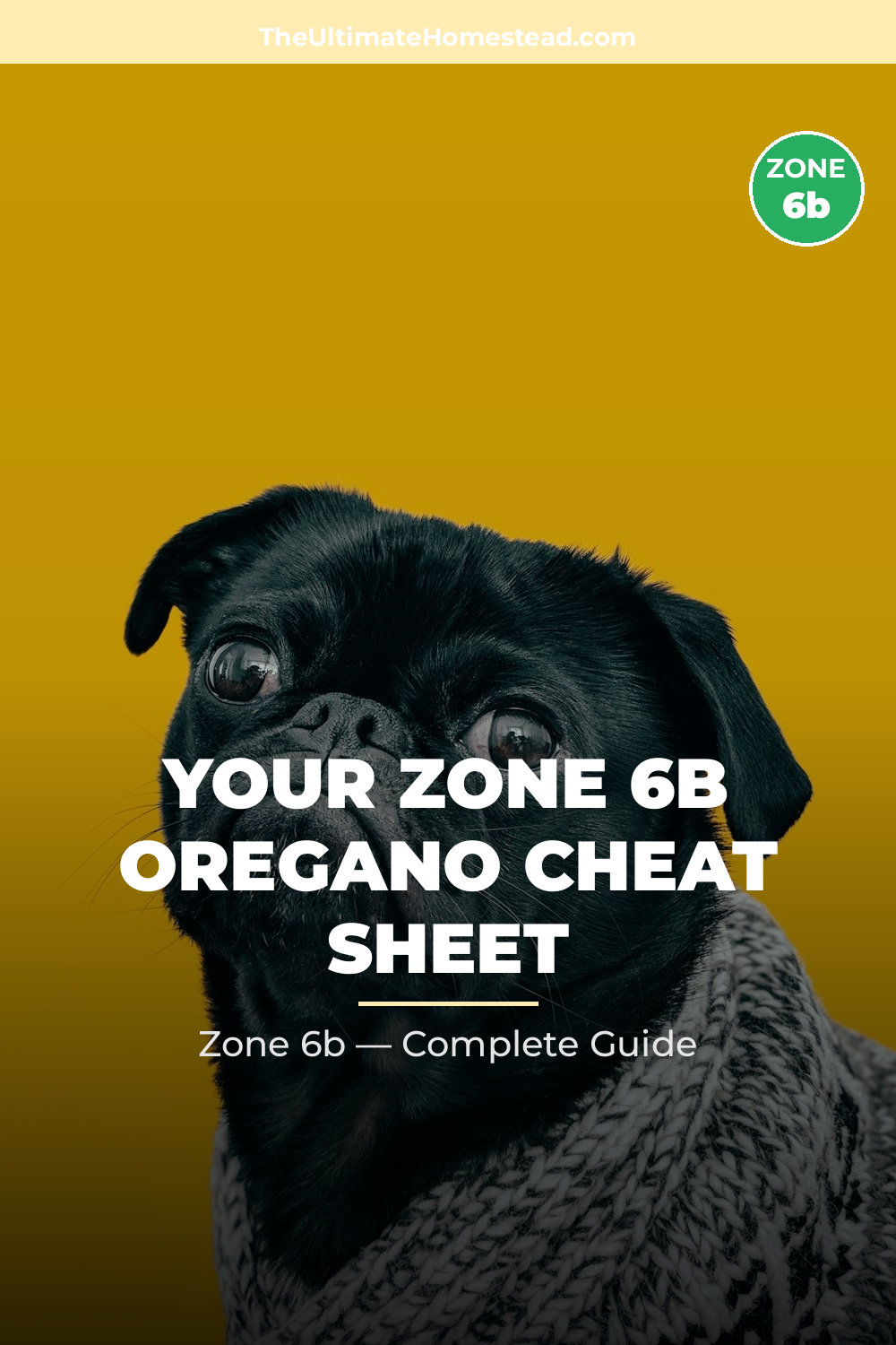 When to Plant Oregano in Zone 6b