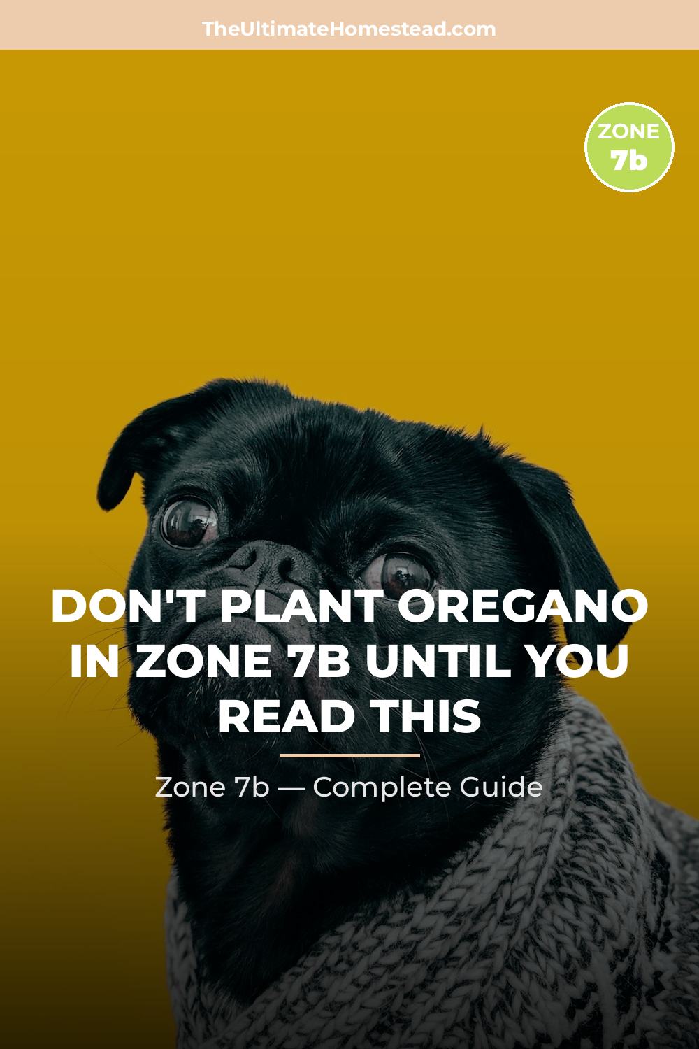 When to Plant Oregano in Zone 7b