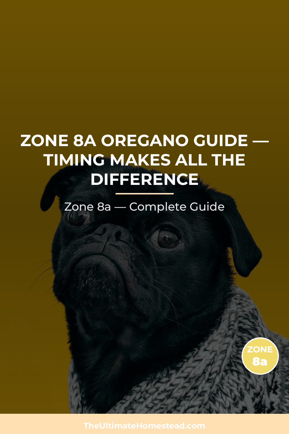 When to Plant Oregano in Zone 8a
