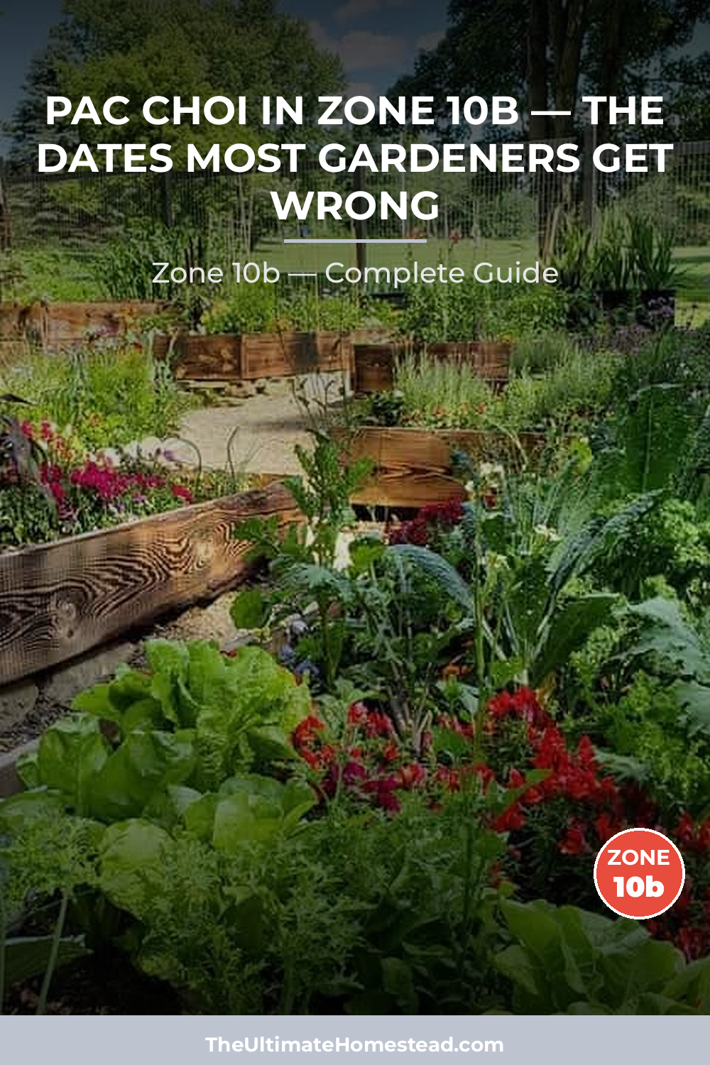 When to Plant Pac Choi in Zone 10b