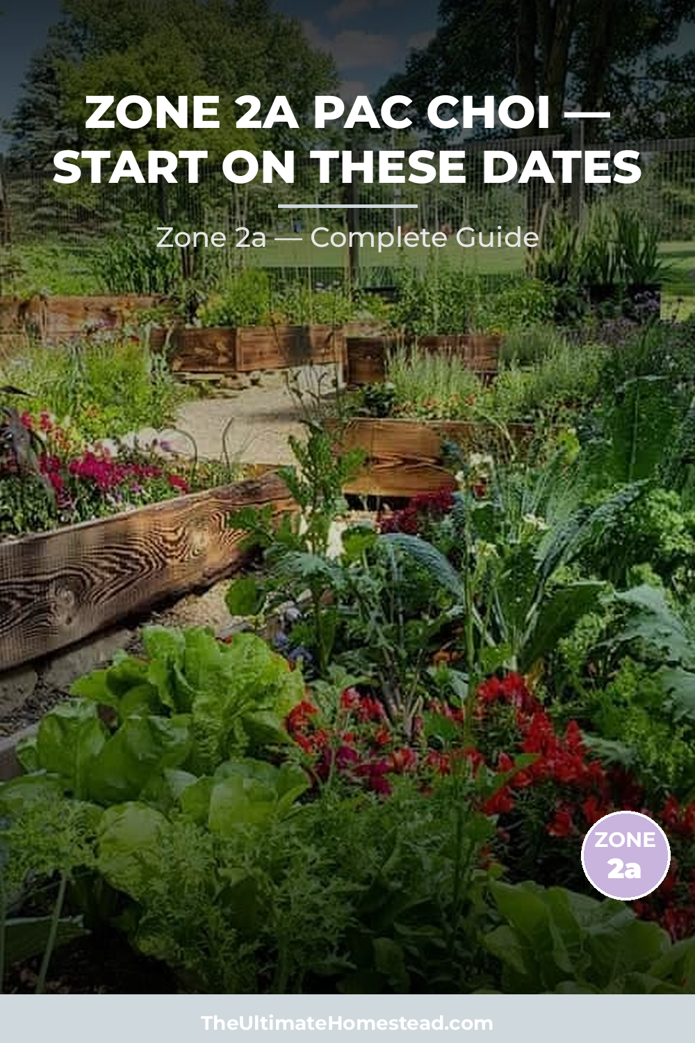 When to Plant Pac Choi in Zone 2a