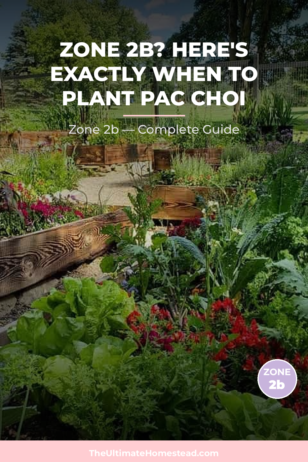 When to Plant Pac Choi in Zone 2b