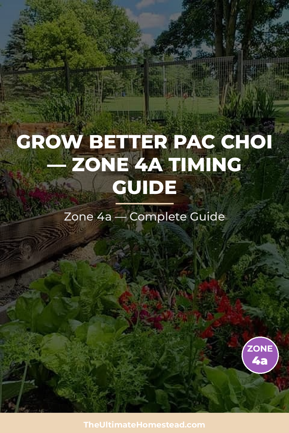 When to Plant Pac Choi in Zone 4a