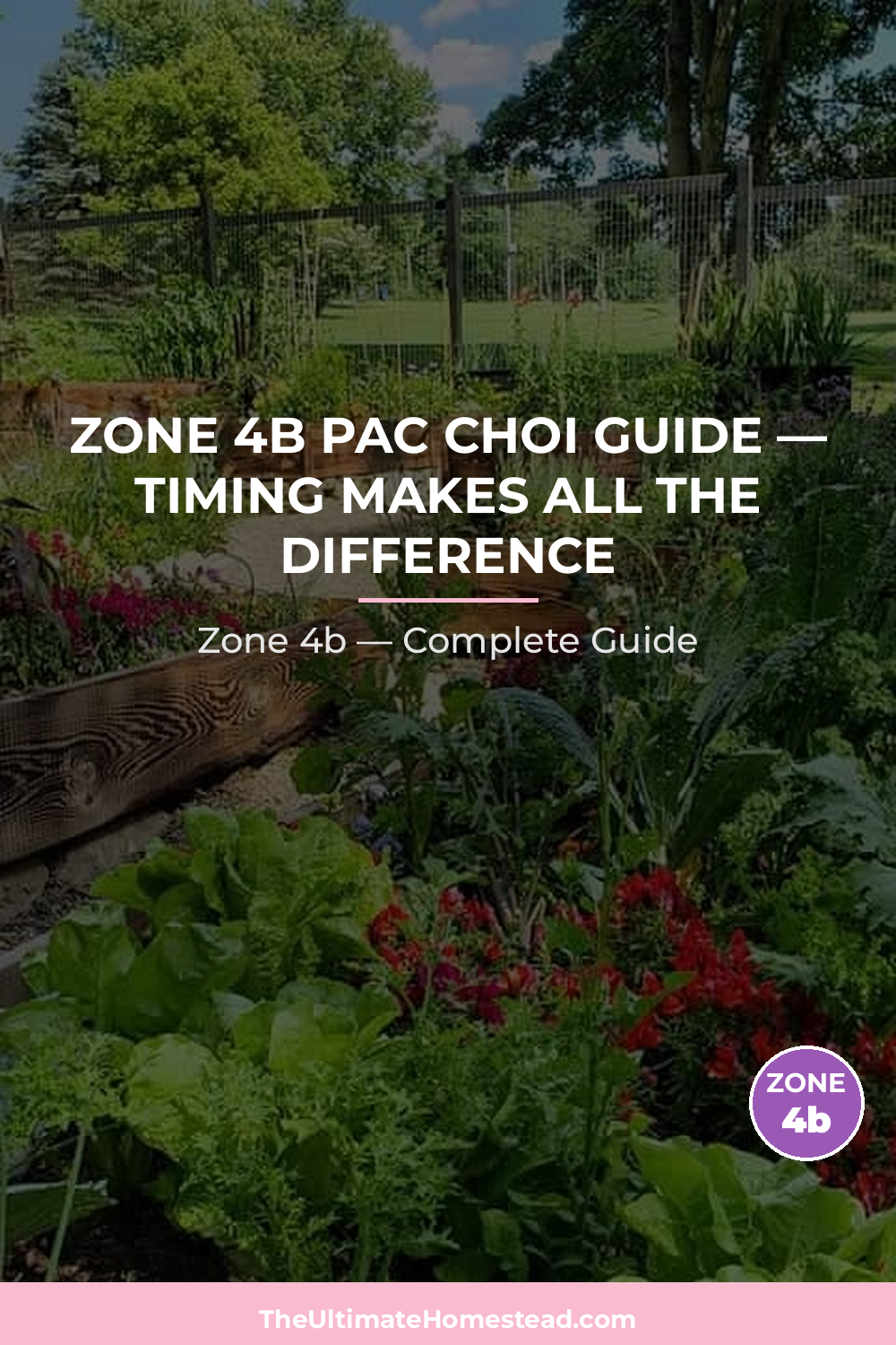 When to Plant Pac Choi in Zone 4b
