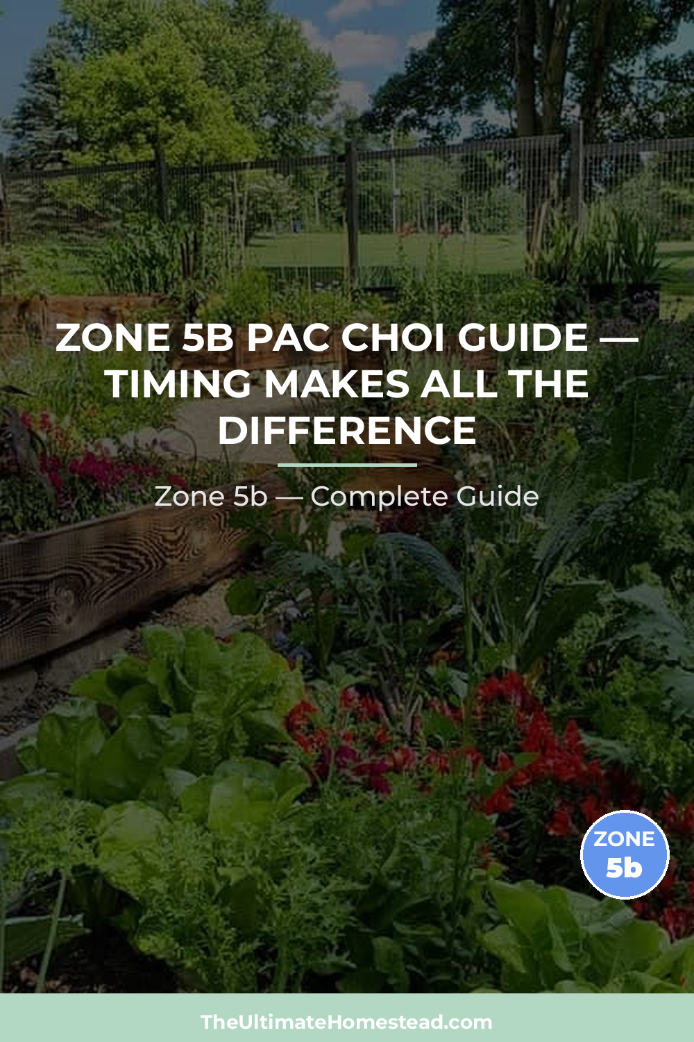 When to Plant Pac Choi in Zone 5b