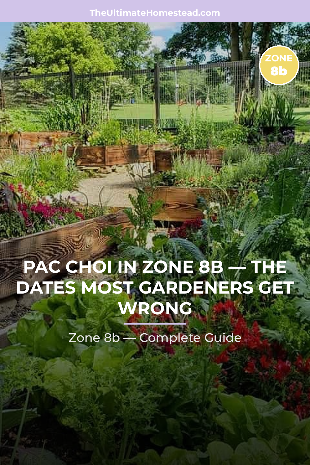 When to Plant Pac Choi in Zone 8b
