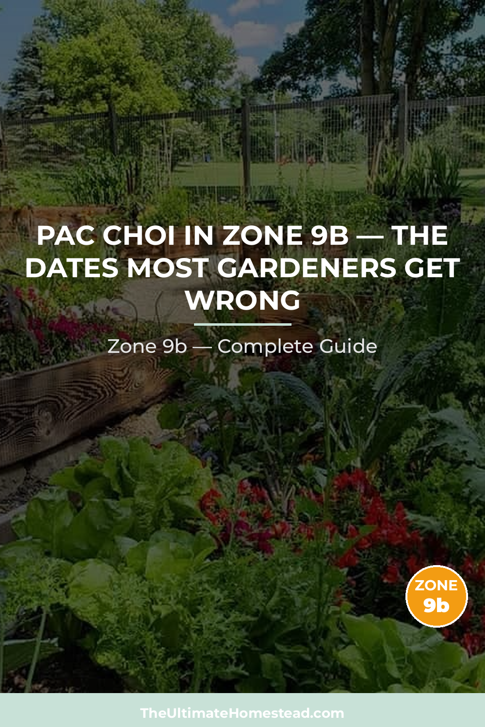 When to Plant Pac Choi in Zone 9b