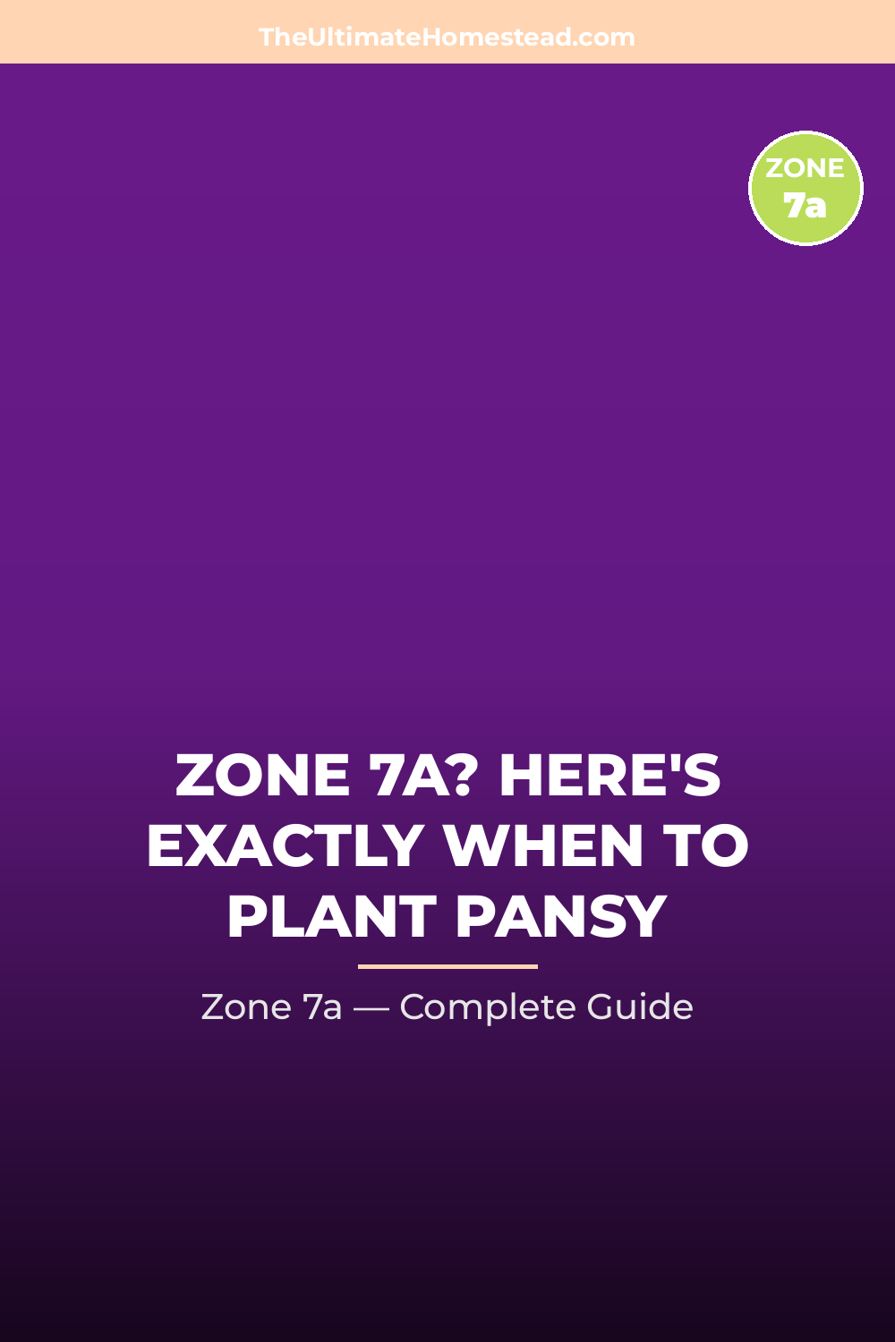When to Plant Pansy in Zone 7a