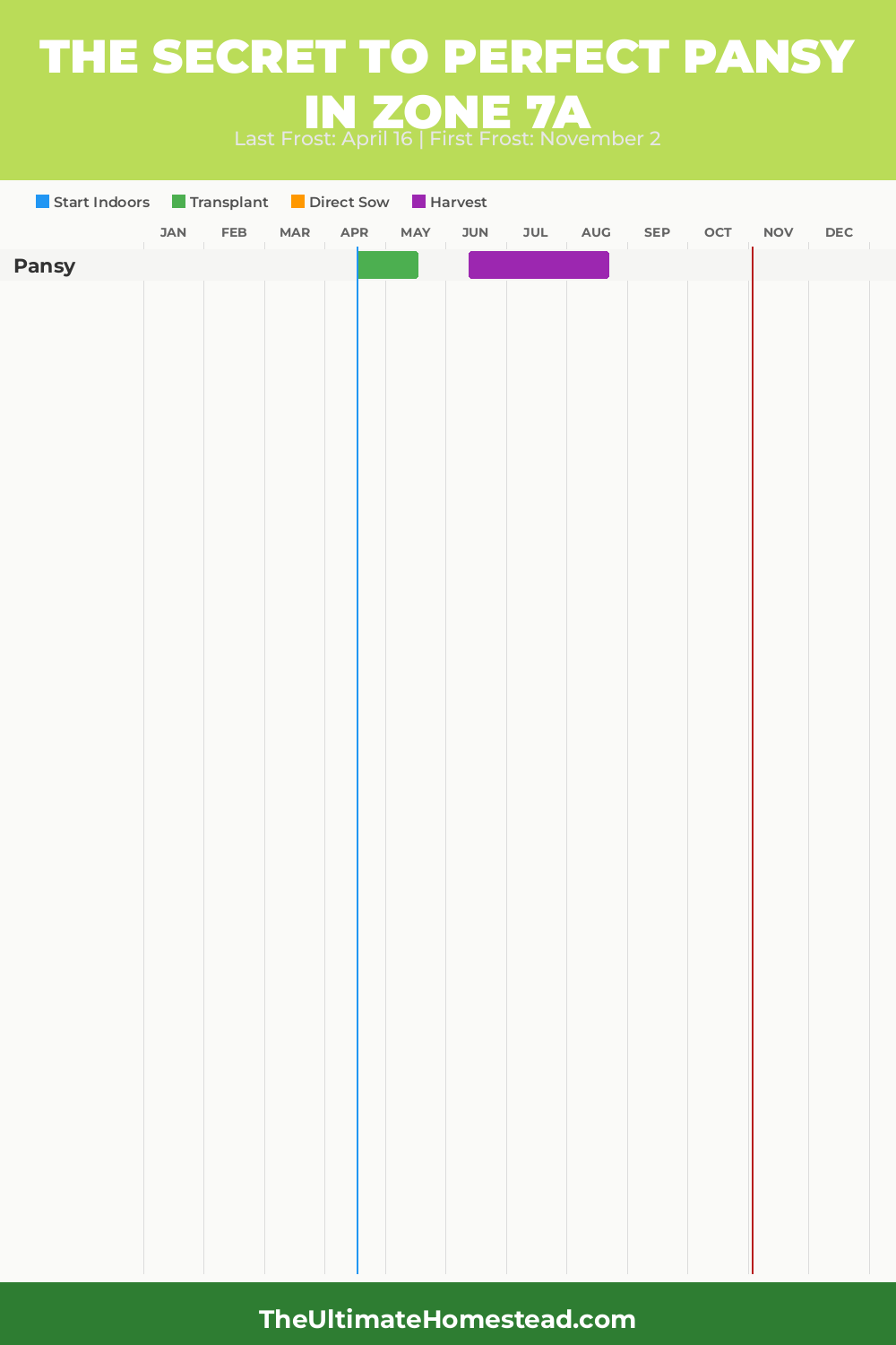 When to Plant Pansy in Zone 7a